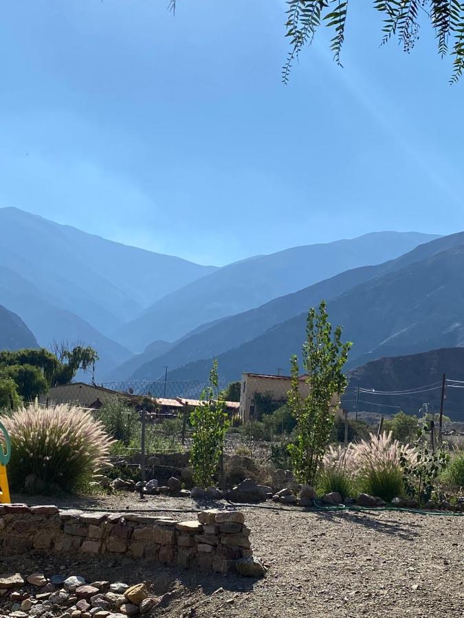 Vila Cactus Y Almacen - Purmamarca Exteriér fotografie